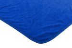 Pistons OFFICIAL NBA Clear Out Micro Raschel Throw Blanket; 46" x 60"